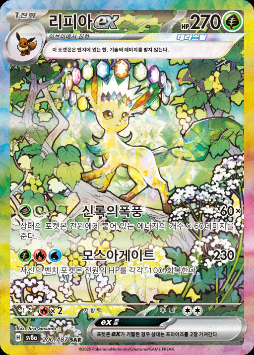 카드