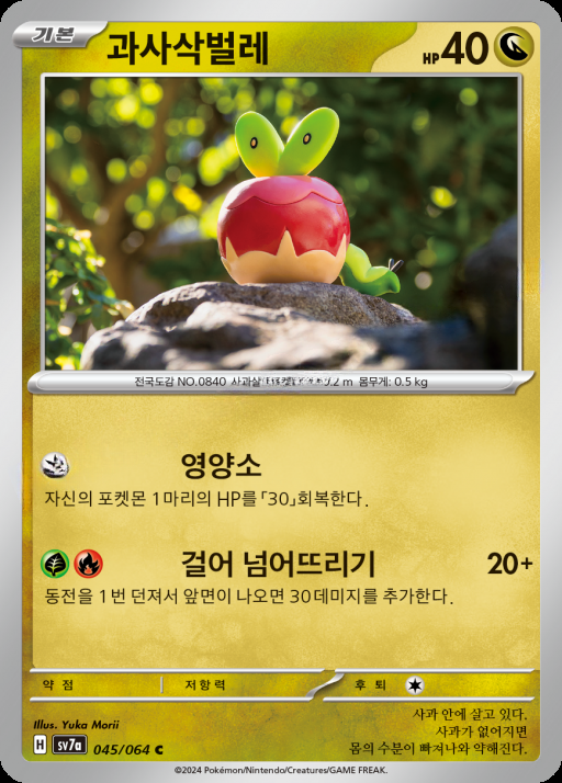 카드