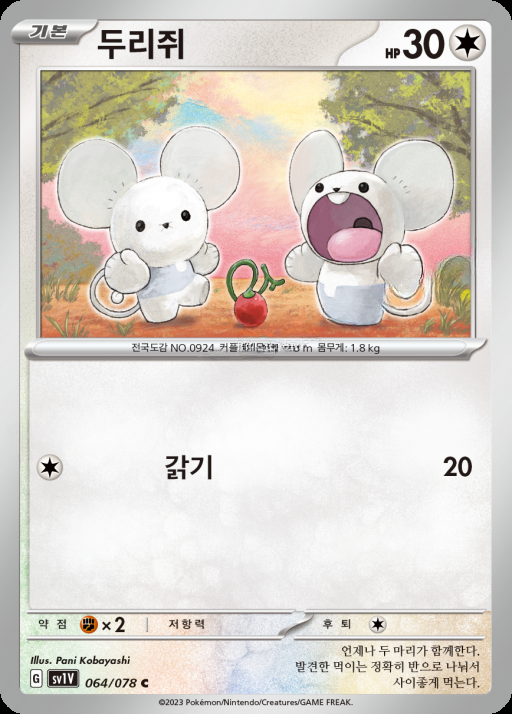 카드