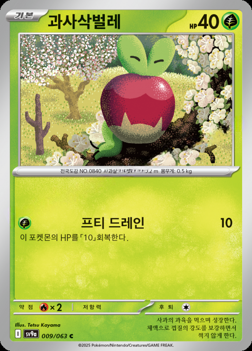 카드