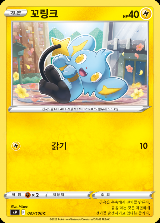 카드